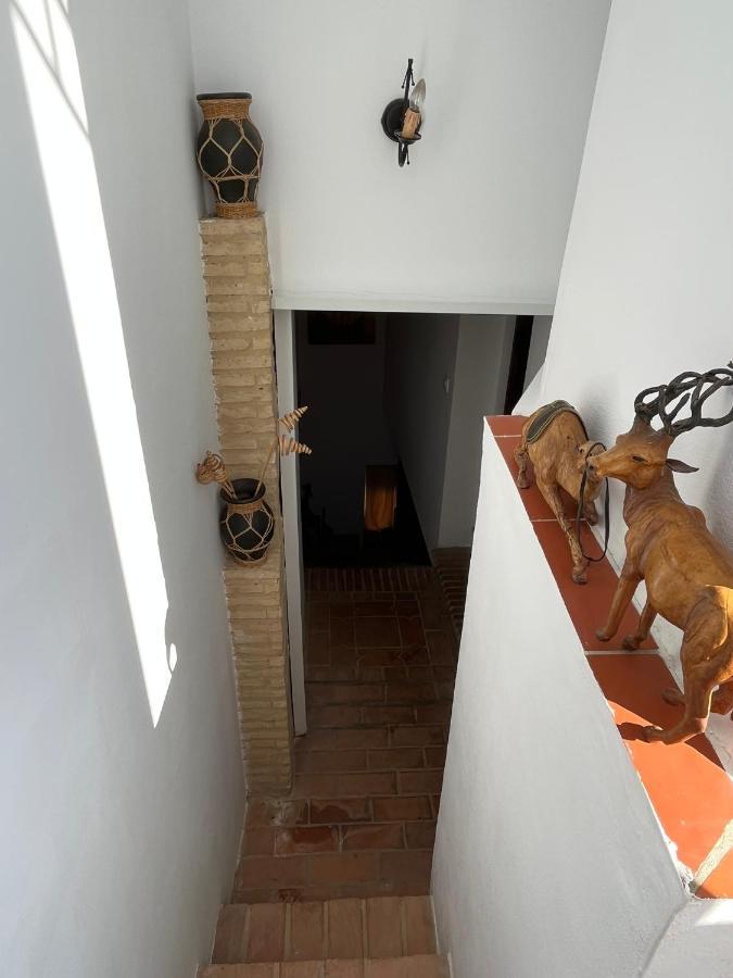 דירות ארקוס דה לה פרונטרה Esencia De Arcos מראה חיצוני תמונה